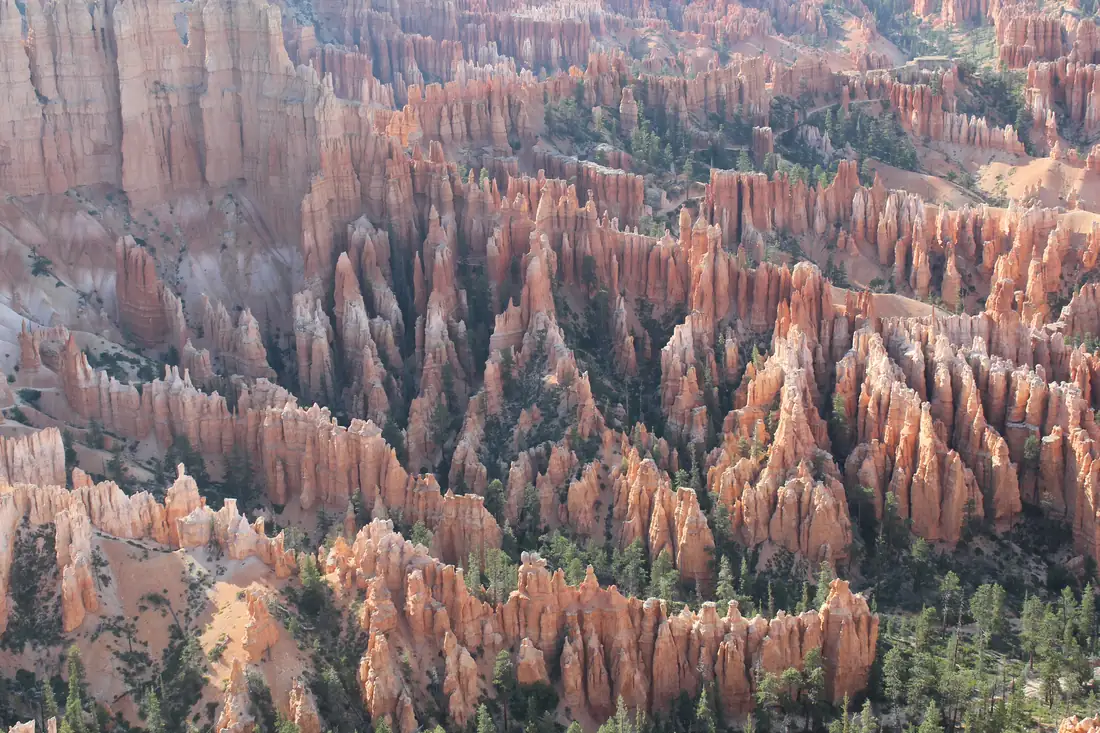 Orange hoodoos and pine trees below the rim of Bryce Canyon